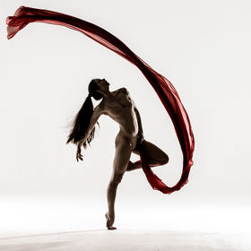 Elle_silk_02 — figure reference